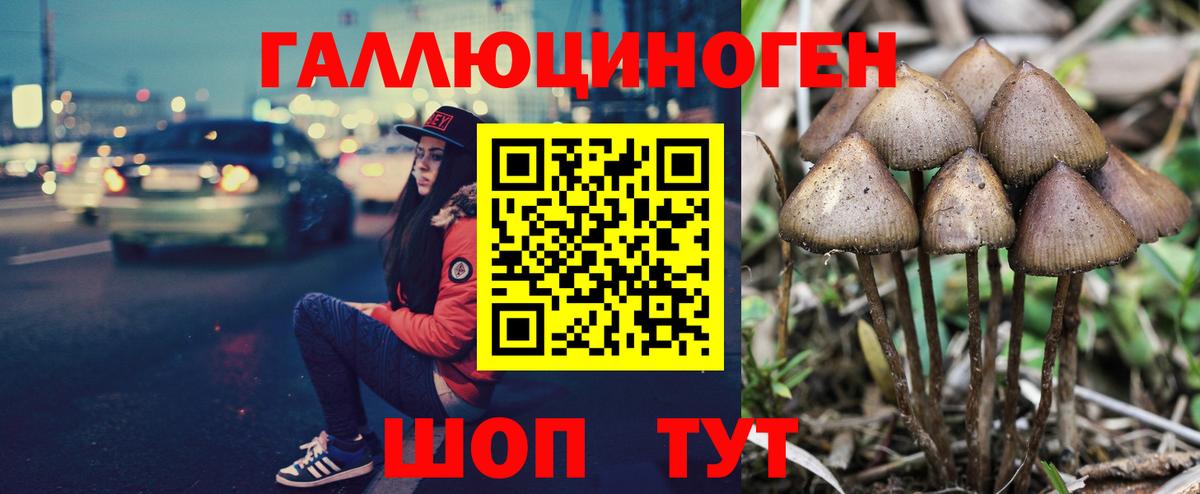 Сосновый Бор  Галлюциногенные грибы ЛСД  Псилоцибиновые грибы Psilocybine cubensis  Вход с VPN 